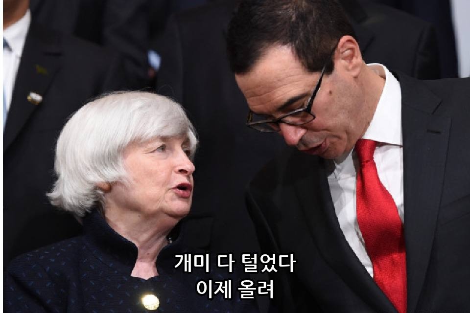  개미 털기