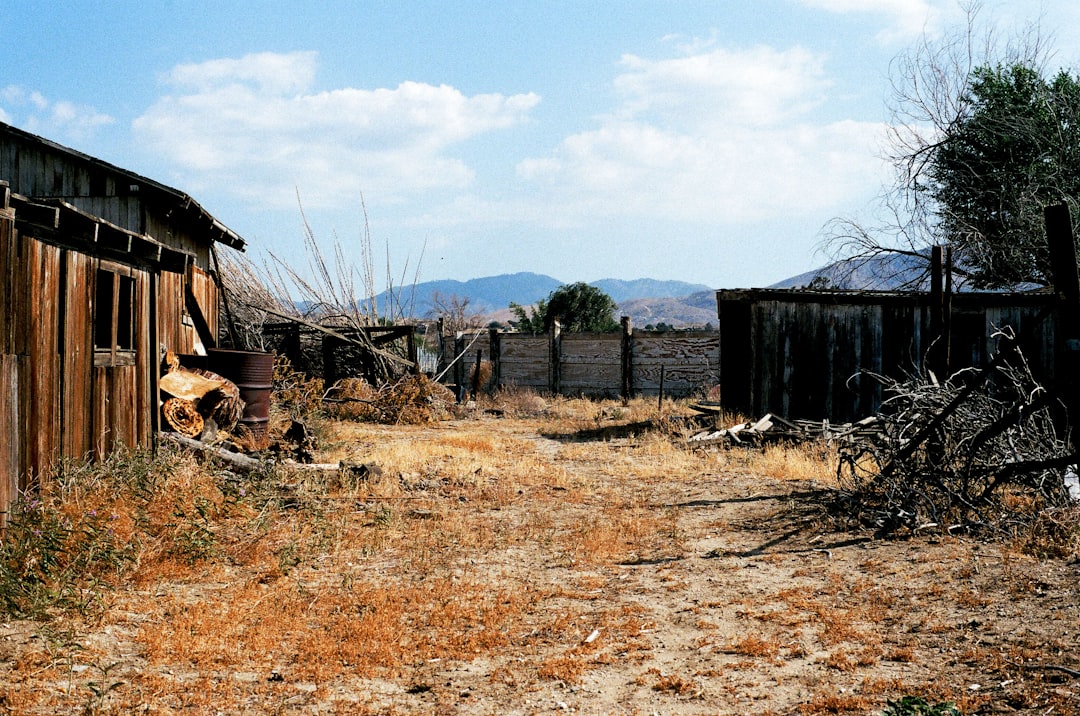 Year-end settlement