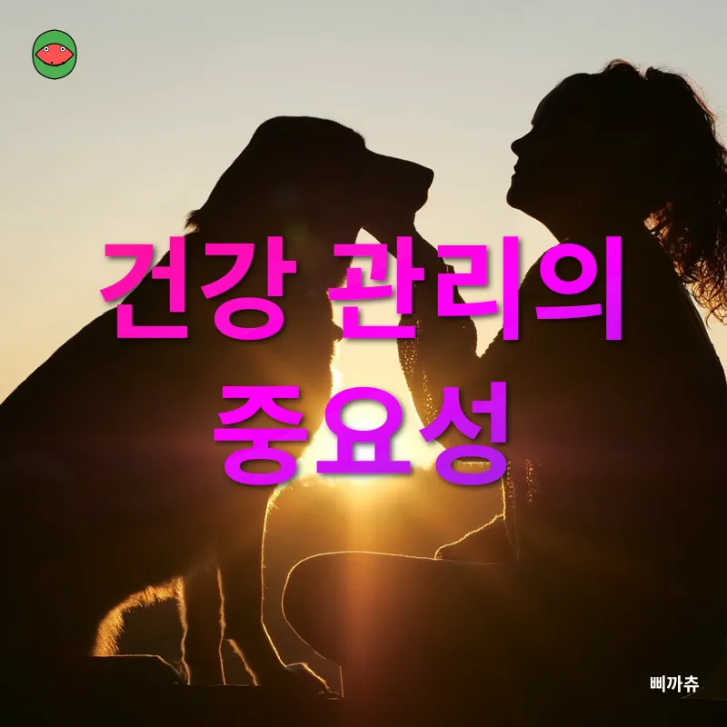 반려동물 청력 관리_3