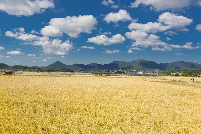 전라도 가볼만한 산 추천&amp;#44; 전라도 등산 산행 명소 추천