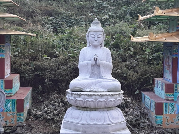 img.jpg