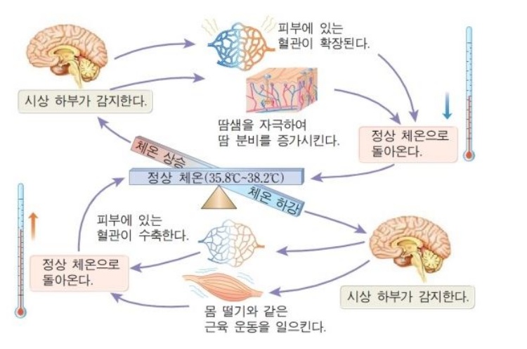 사진설명