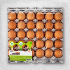  곰곰 무항생제 신선한특란, 60구,19,390원 , 후기확인 (3017)