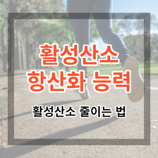  활성산소 및 항산화 능력, 활성산소 원인과 제거 방법 알아보기
