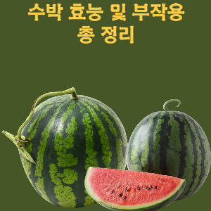  수박 효능 및 부작용 총 정리