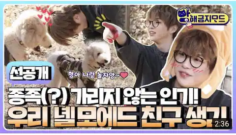 야옹이네 촌캉스 , sns 티비쇼프로그램