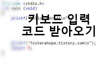  [C Console]Function Key(확장 키), 특수 키, 일반 문자 입력 코드를 받아오는 프로그램