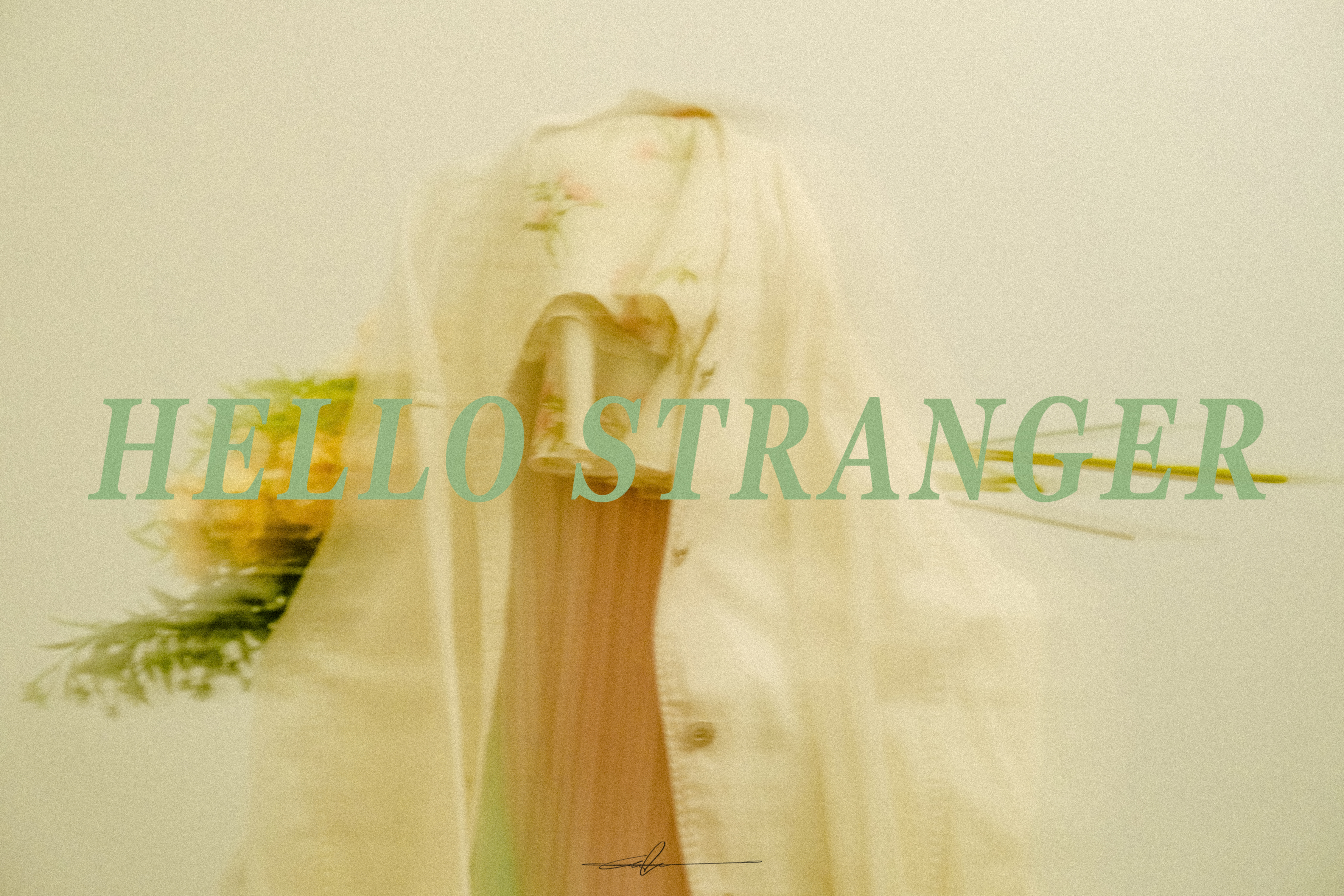  #94b580  HELLO STRANGER