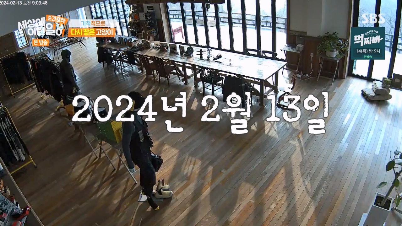 순간포착 세상에 이런일이.E1268.240310p-NEXT.mp4_20240310_132544.514.jpg