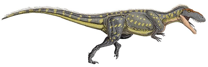 토르보사우루스(Wikimedia Commons)&#44; 용반목&#44; 수각류에 속하는 육식공룡으로 쥐라기 후기에 북아메리카&#44; 유럽에 살았다