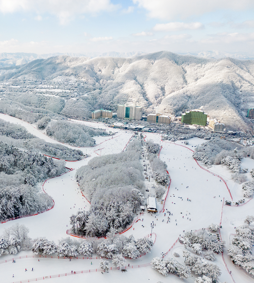 비발디파크 스키