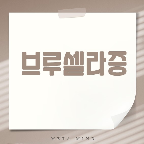 브루셀라증 완벽 정리: 병원체, 증상, 치료까지