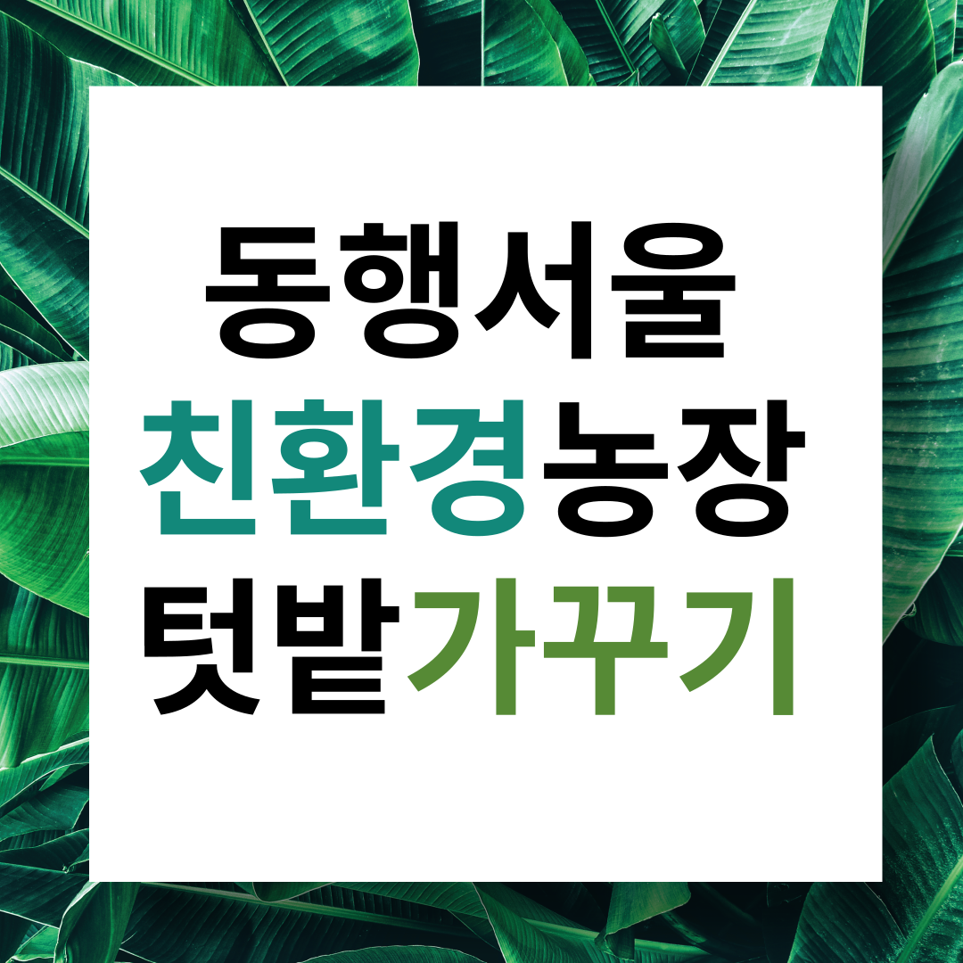 동행서울 친환경농장 텃밭가꾸기