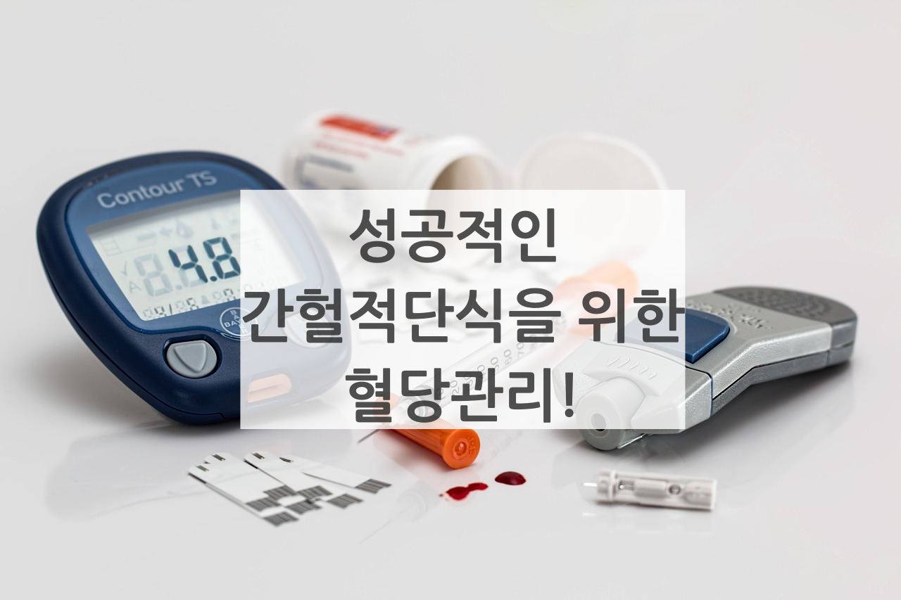  성공적인 간헐적 단식을 위한 혈당 천천히 낮게 올리는 방법