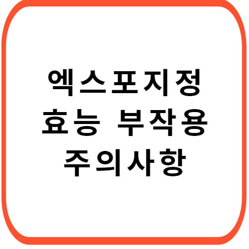 엑스포지정-성분-효능-부작용-썸네일