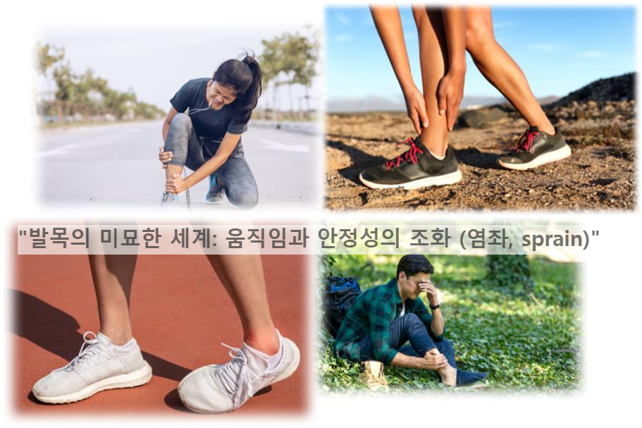 &quot;발목의 미묘한 세계: 움직임과 안정성의 조화 (염좌, sprain)&quot;