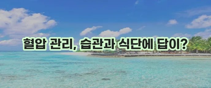 고혈압 예방과 관리 혈압 낮추는 생활 습관과 식단이 중요합니다