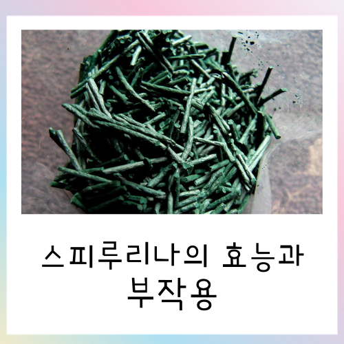  스피루리나 효능과 부작용에 관하여