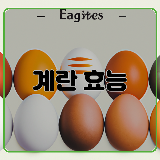 신기한-계란의-효능:-건강-신기한-계란의-효능:-몸-신기한-계란의-효능:-효능