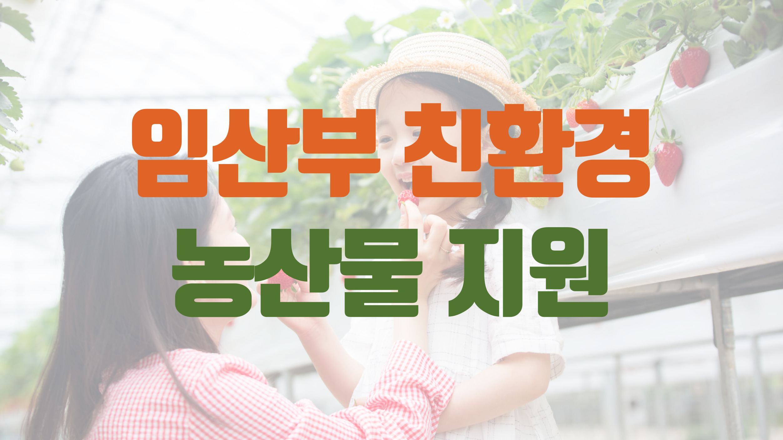 2025년 임산부 친환경 농산물 지원사업 안내|건강한 먹거리와 출산 복지를 함께 담은 썸네일