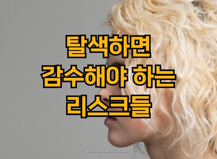  탈색하면 감수해야 하는 리스크들 :: 탈색 처음하시는 분은 필독!