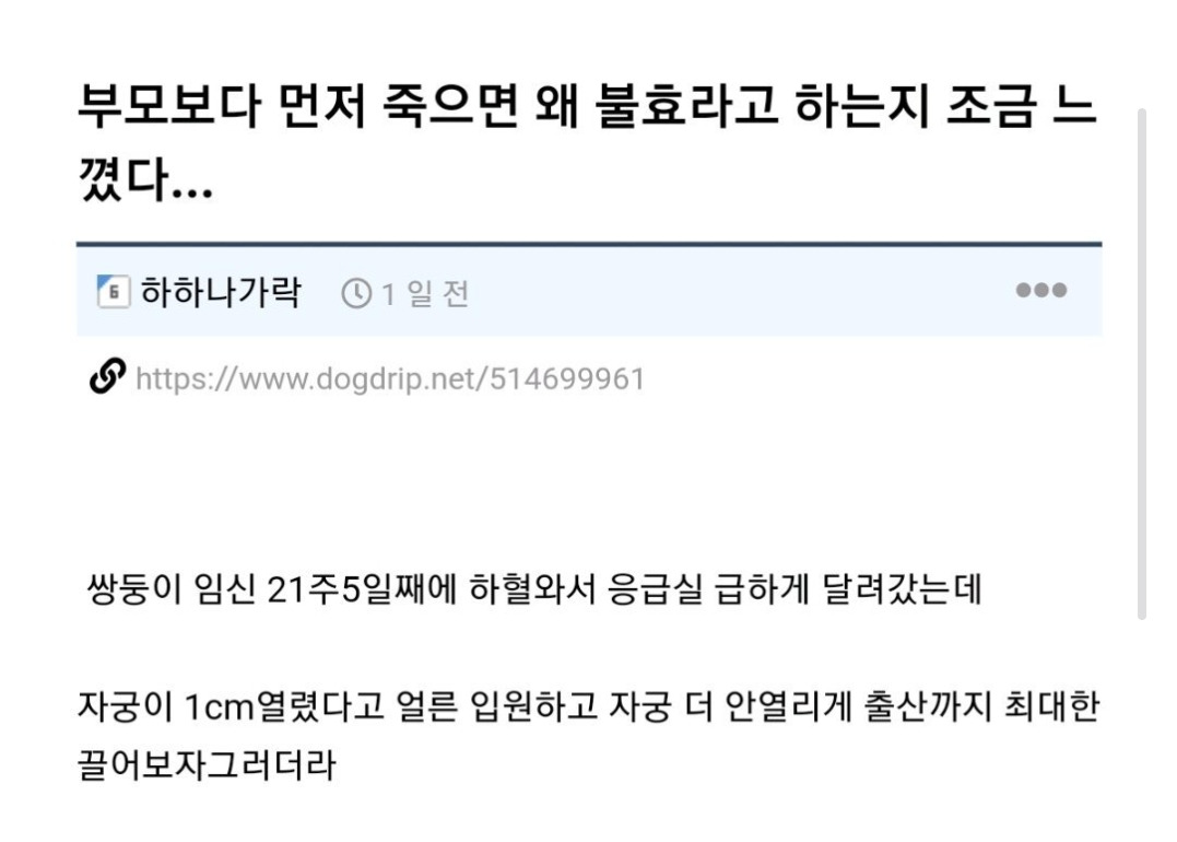 부모보다 먼저 죽으면 왜 불효라고 하는지 조금 느꼈다….jpg