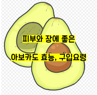  피부와 장 건강에 좋은 아보카도의 효능은?