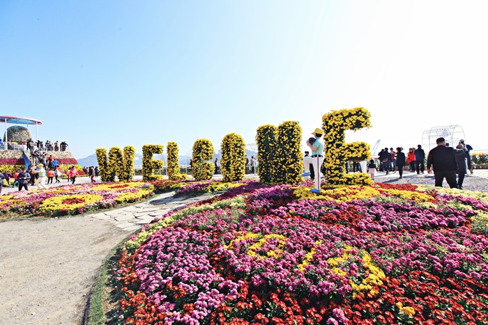  경남 창원 가볼만한곳: 10월 축제 “마산국화축제 2019”