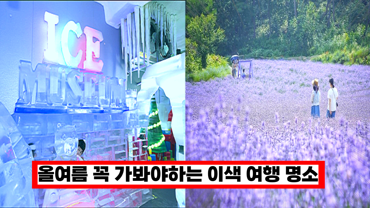  '올여름 여긴 꼭 가보세요' 색다른 여행을 원한다면, 보랏빛 라벤더 가든, 시원함을 넘어 오싹한 여행 명소