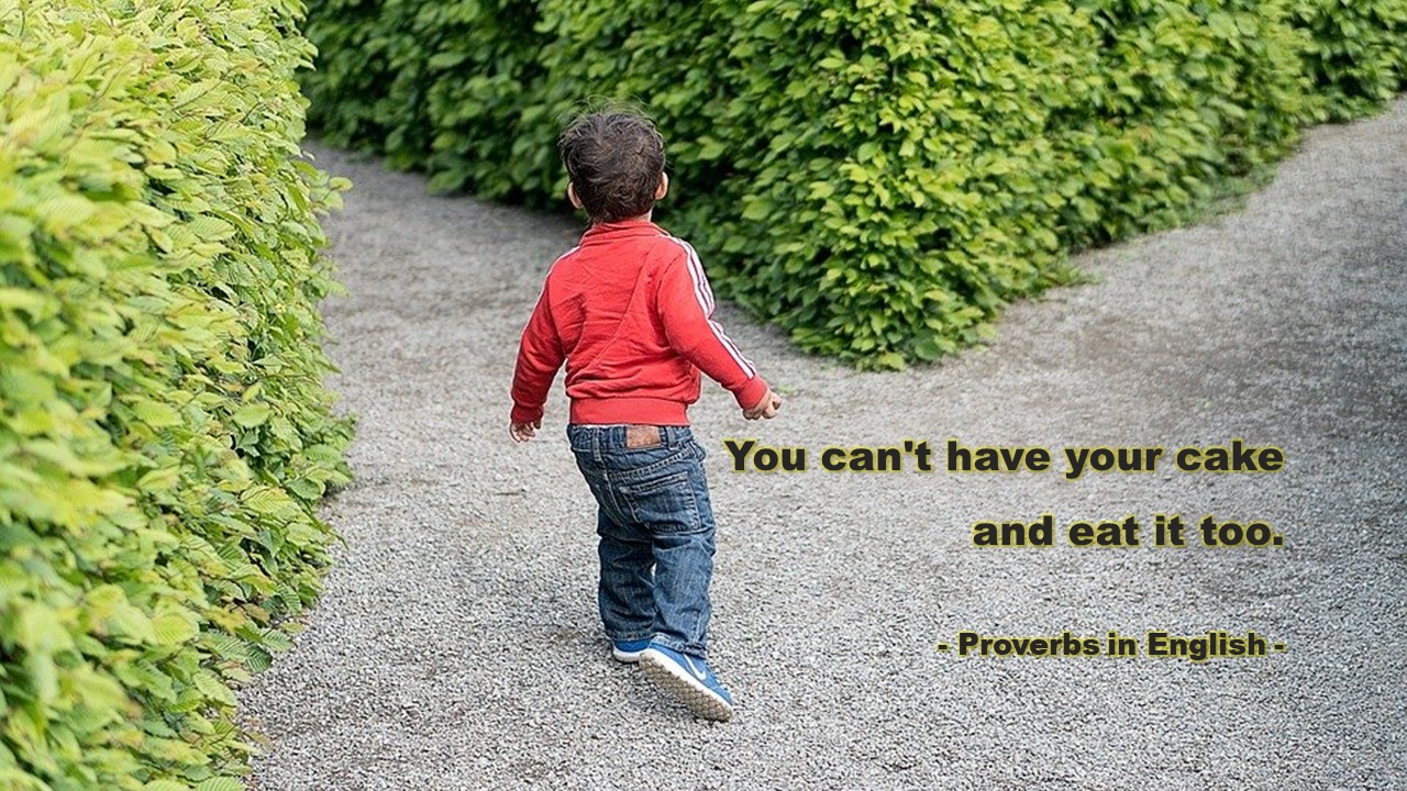  Life Quotes & Proverb : 영어 인생명언 & 명대사 : 선택, 집중, 욕심 : 속담