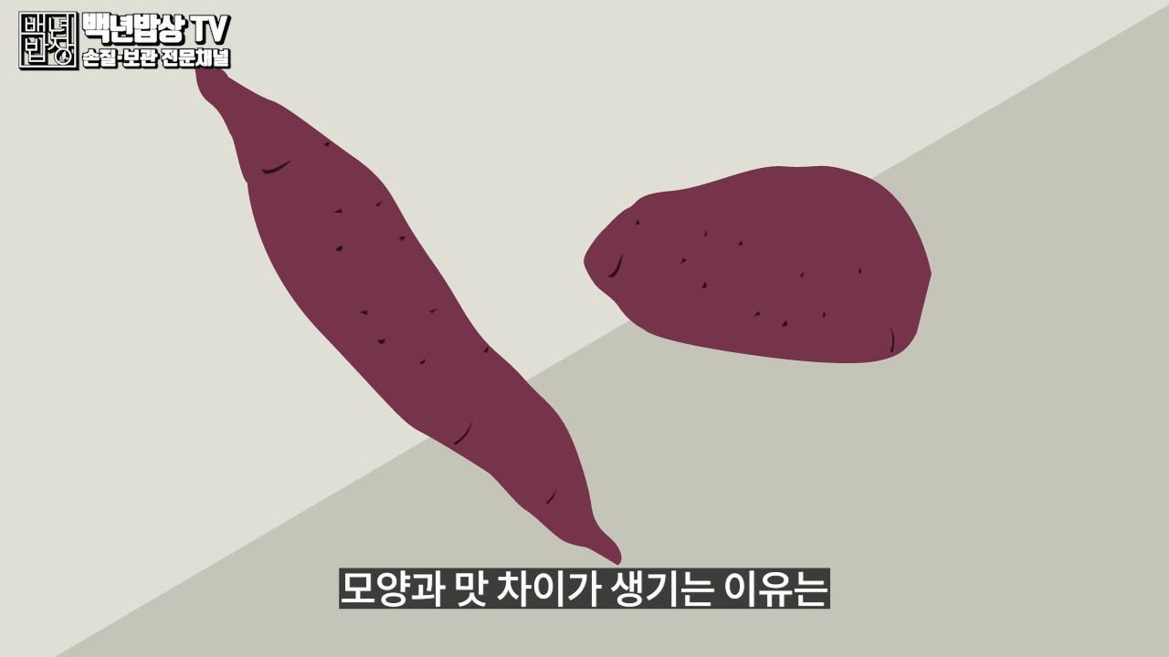 더 맛있어지게 고구마 보관하는방법, 굽는방법,효능,다이어트 더 맛있어지게 고구마 보관하는방법, 굽는방법,효능,다이어트