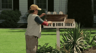 img.gif