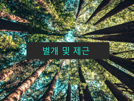  벌개 및 제근 [기존 수목의 보호]