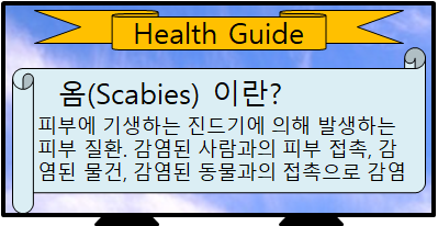 옴(Scabies)