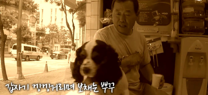 “버스 폭발 현장에서 주인 살린 강아지!…” 폭발 사고를 본능적으로 감지하고 필사적으로 주인을 구한 강아지의 ‘행동’에 모두가 입을 다물 수 없었습니다.
