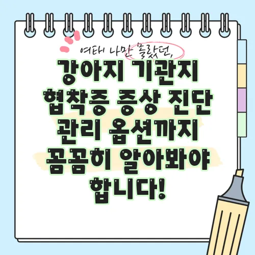 강아지 기관지 협착증 증상 진단 관리 옵션까지 꼼꼼히 알아봐야 합니다!