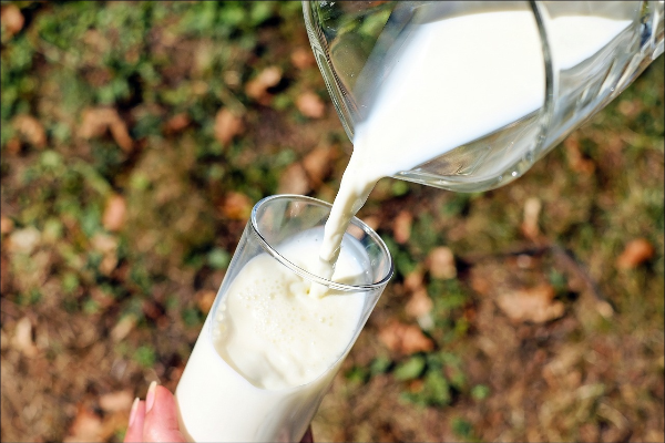 우유 효능 유기농우유 저지방우유