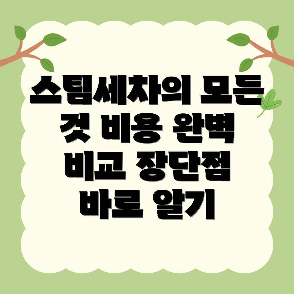 화순군 스팀세차