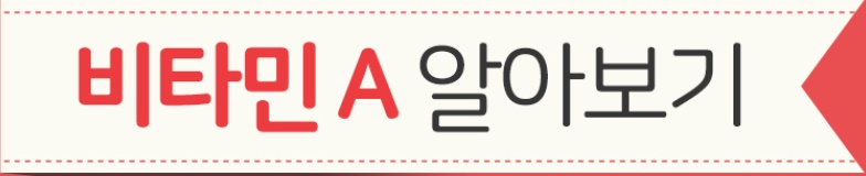  비타민 A|B|C 효능 알아보기