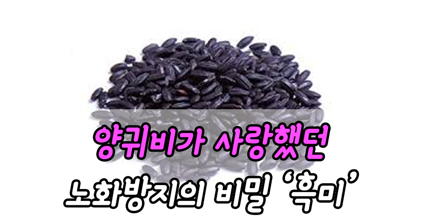  양귀비가 사랑했던 노화방지의 비밀 '흑미'