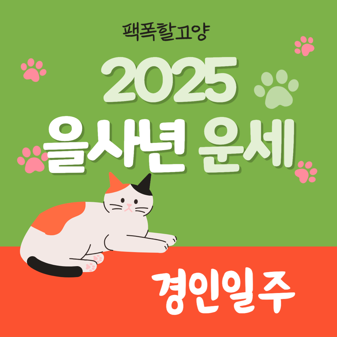 경인일주(庚寅日柱) 2025년 을사년(乙巳年) 연간 운세