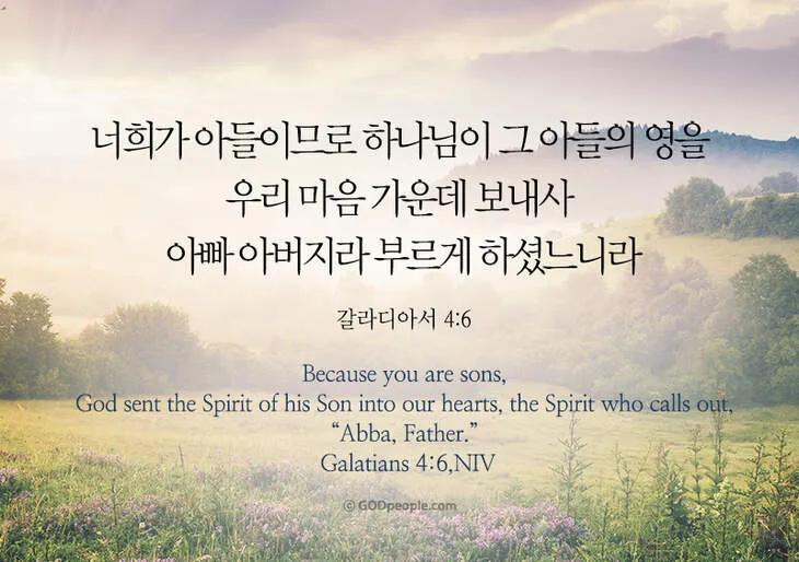 갈라디아서 5장 22절 묵상 - 오직 성령의 열매는 사랑과 희락과 화평과 오래 참음이라_8