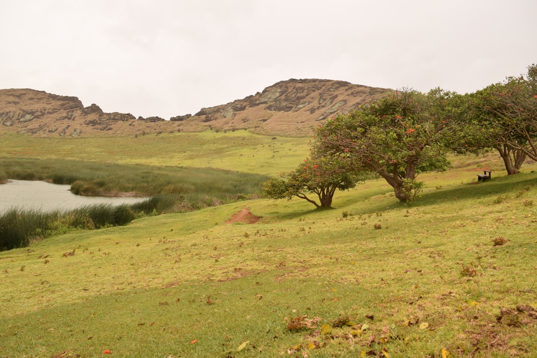 Moai