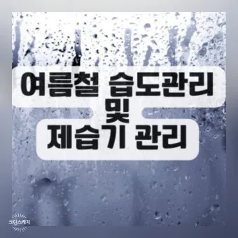 여름철 습도 관리 완벽 가이드 건강한 실내 환경_27