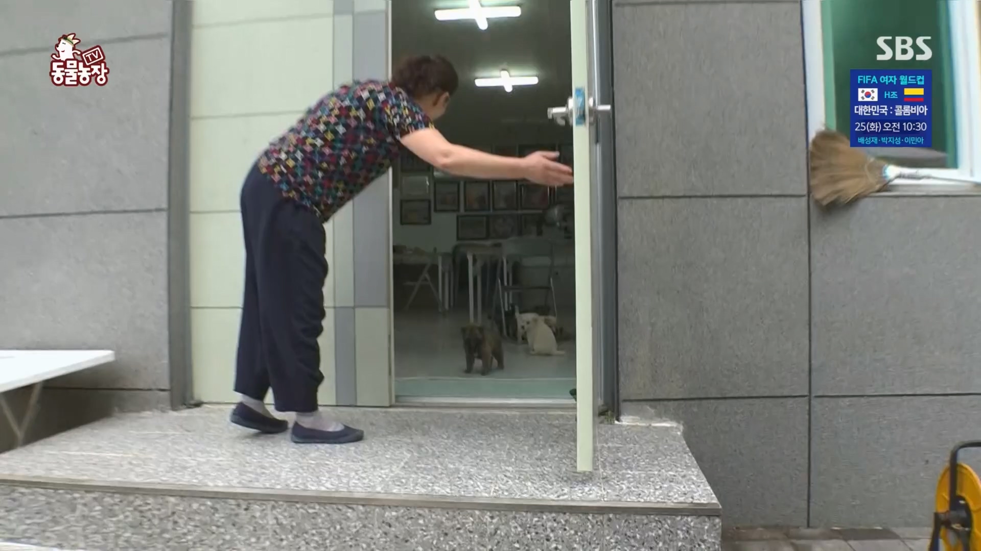 TV 동물농장.E1130.230723p.H264-F1RST.mp4_20230723_171155.004.jpg