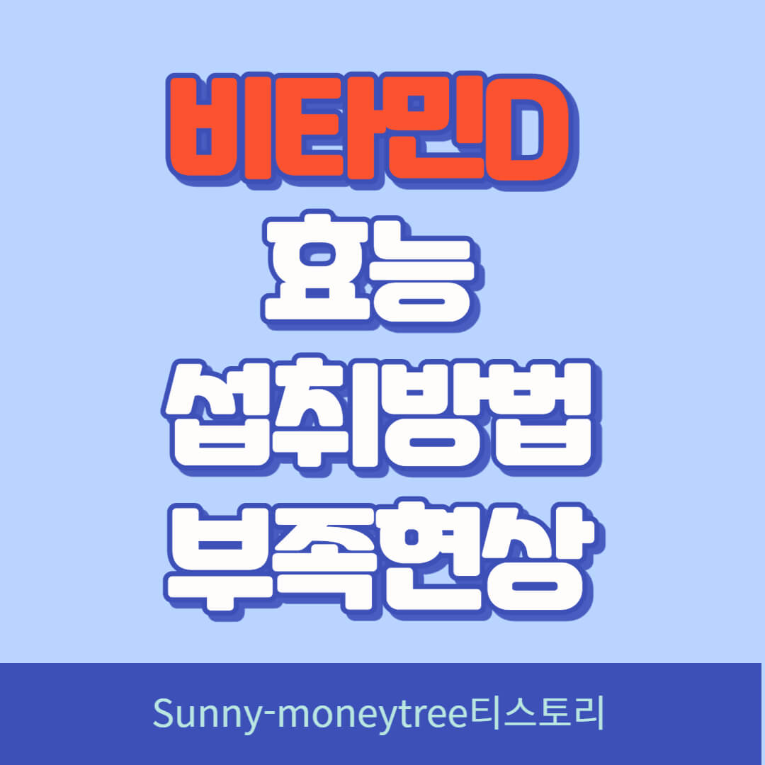 비타민D효능