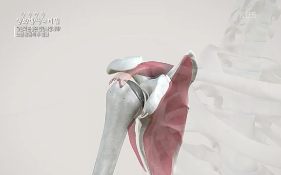 [821회] 생로병사의 비밀 - KBS821회] 생로병사의 비밀.ts_20220824_145727.083.jpg