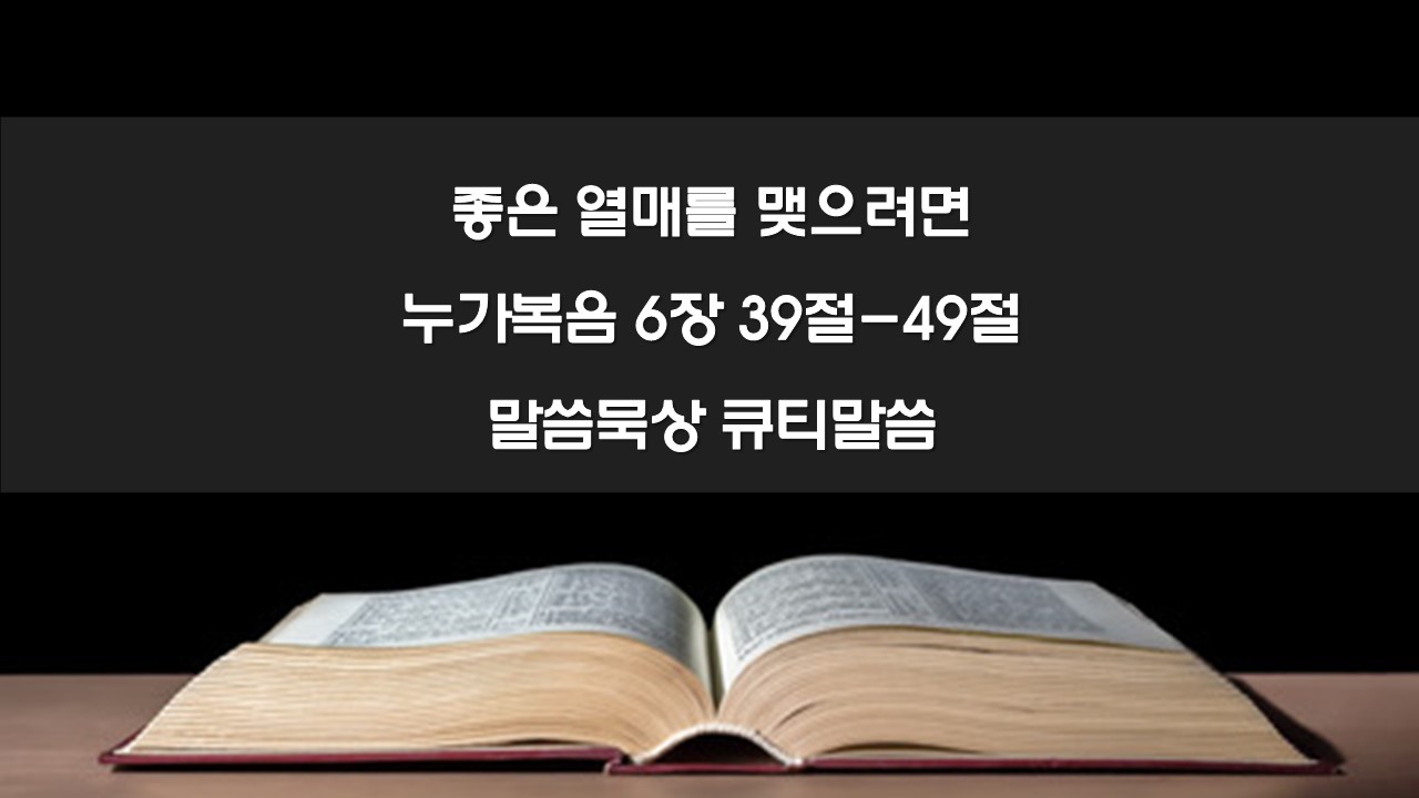 좋은 열매를 맺으려면, 누가복음 6장 39절-49절 말씀묵상 큐티말씀