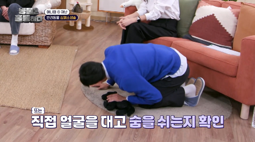 반려인들은 알아두면 좋을 만한 정보들...jpg | 인스티즈