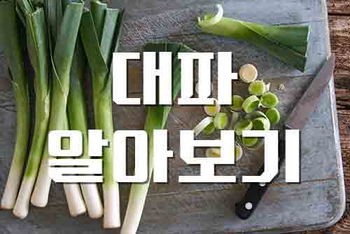  파, 대파 쪽파의 알싸한 매력을 알아보기 보관방법 주의사항 음식궁합